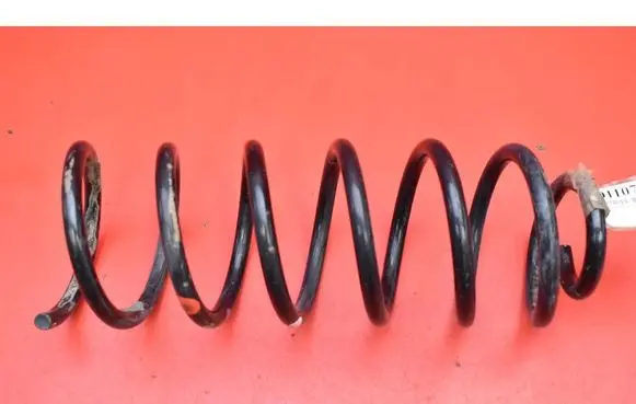 Rear coil spring