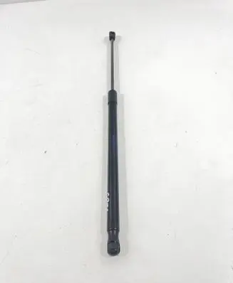 Tailgate strut