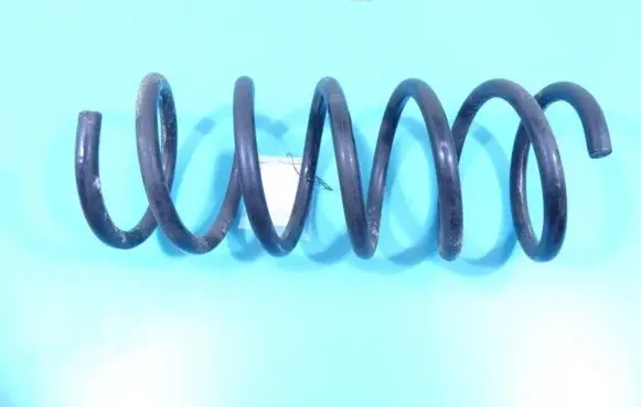 Rear coil spring