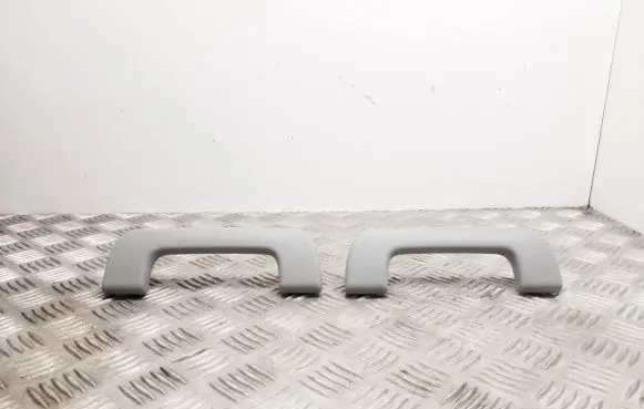 Audi A4 S4 B9 Front interior roof grab handle 4M0857607