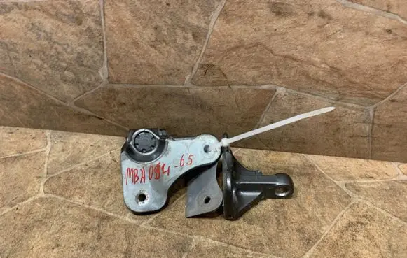 Rear door lower hinge