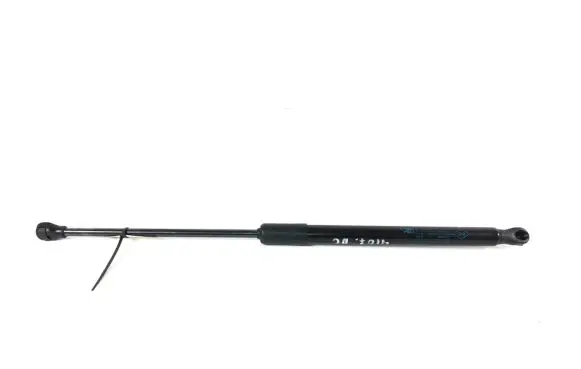Tailgate strut