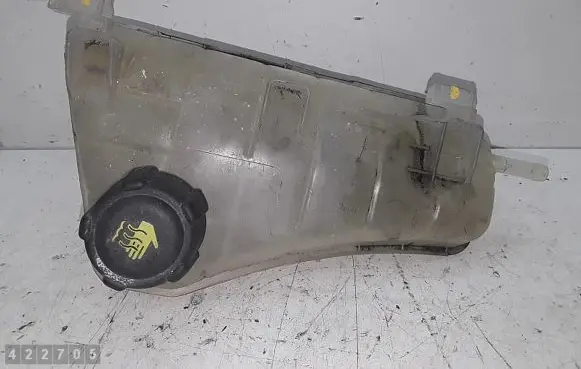Renault Kangoo II Coolant expansion tank/reservoir 8200455786