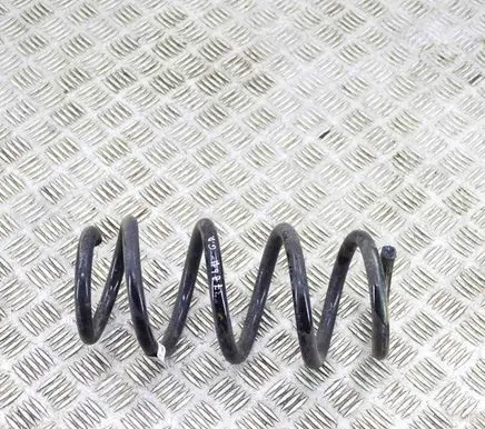 Tesla Model 3 Rear coil spring 104447201E
