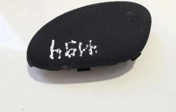 Front door speaker