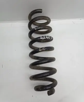 Rear coil spring
