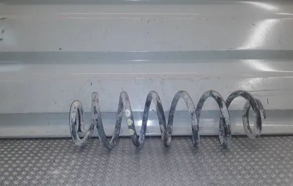 Skoda Octavia Mk2 (1Z) Rear coil spring 