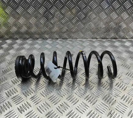 Rear coil spring