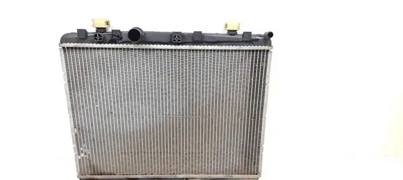 Opel Crossland X Coolant radiator 873460200