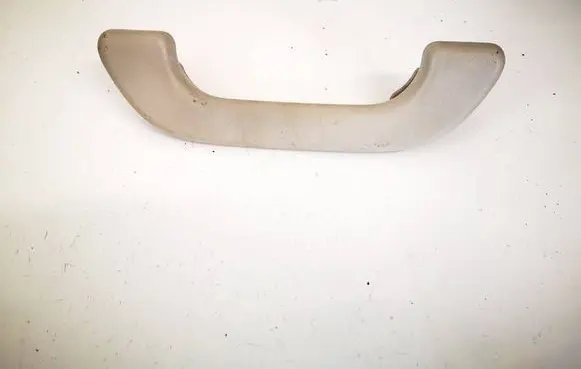 Front interior roof grab handle