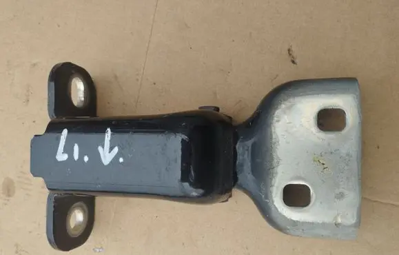 Renault Trafic III (X82) Front door lower hinge 804005400R