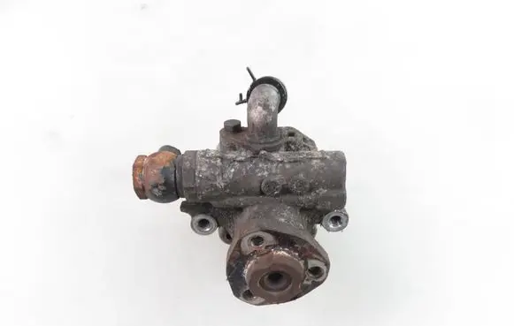 Volkswagen Bora Power steering pump 