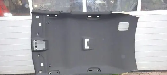 BMW X2 F39 Headlining 8073460