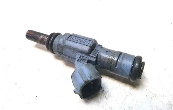 Porsche Cayenne (9PA) Fuel injector 0280157012