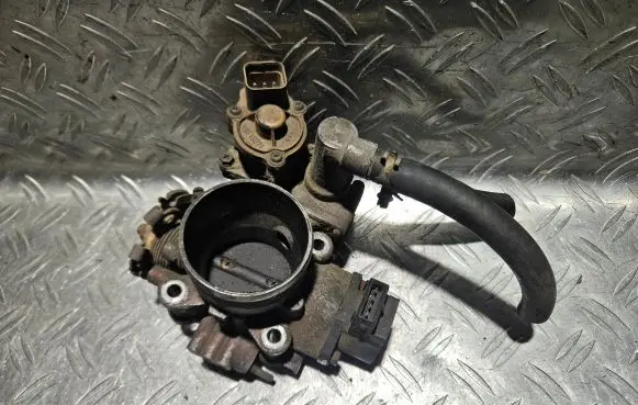 Mitsubishi Pajero Throttle valve E9T15271