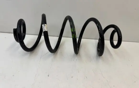 Rear coil spring