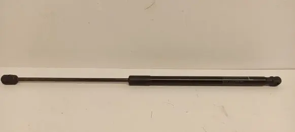 Tailgate strut