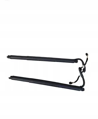 Tailgate strut