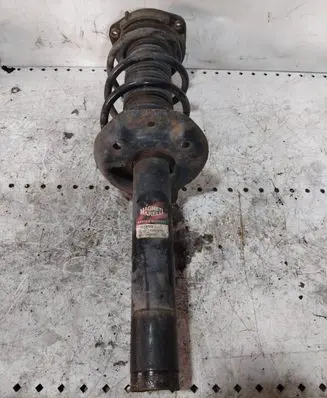 Volkswagen Golf V Front shock absorber/damper 4318GQ 354318079000