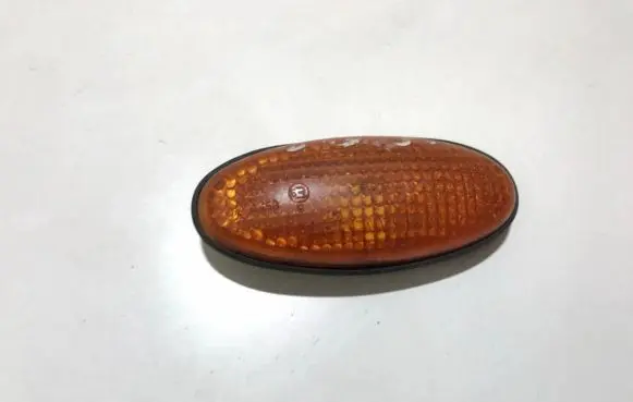 Front fender indicator light