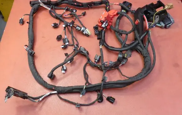 Ford Fiesta Other wiring loom H1BT12C508CBB