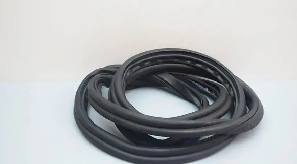 BMW 5 G60 G61 Rubber seal front door (on door) 5A05896