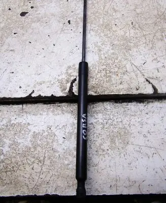 Opel Corsa F Tailgate strut 9831976680