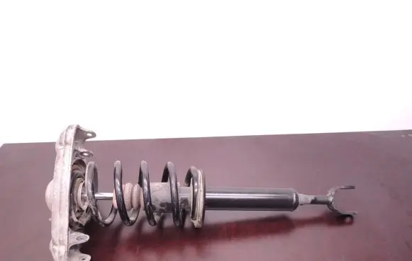 Skoda Superb B5 (3U) Front shock absorber with coil spring D241