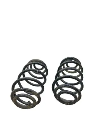 Rear coil spring