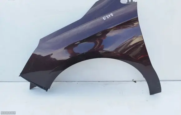 Citroen C4 II Fender
