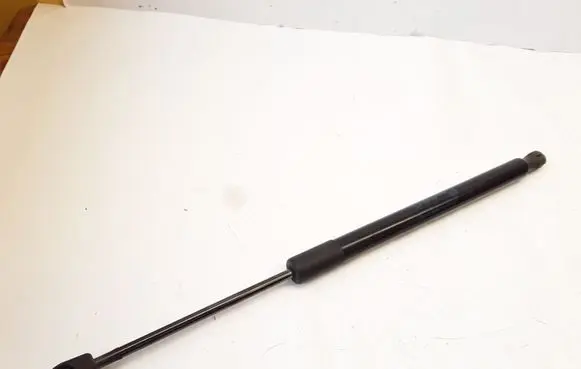 Opel Meriva B Tailgate/trunk strut/damper 13338367 0306280700N