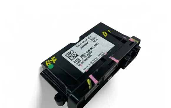 Tesla Model S Other control units/modules 100310100E