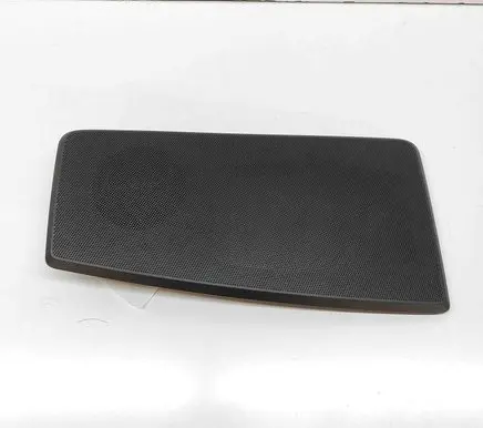 Panel speaker