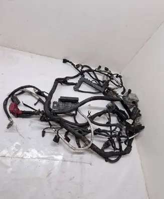 Engine installation wiring loom