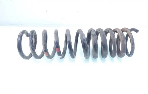Ford Focus Rear coil spring