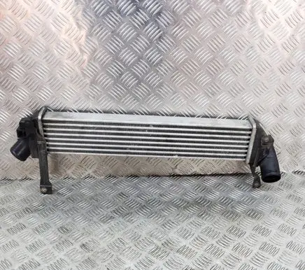 Renault Kangoo I Intercooler radiator