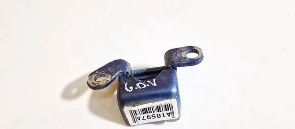 Rear door lower hinge