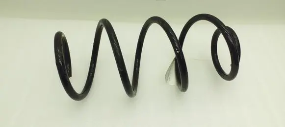 Front coil spring