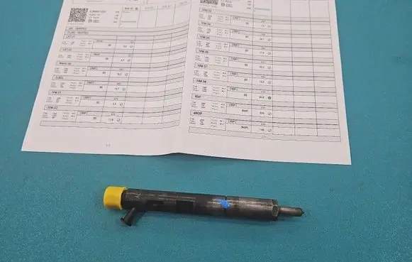 Renault Modus Fuel injector EJBR05102D IMPRK1503368