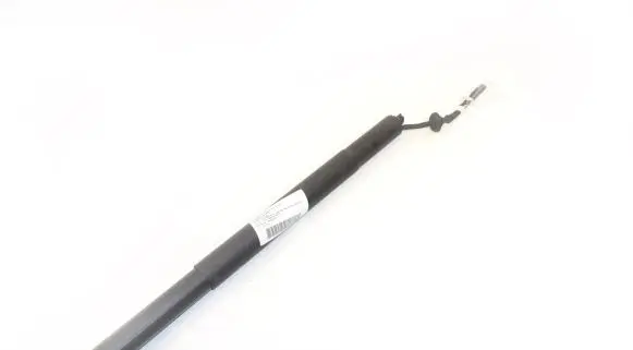 Tailgate/trunk strut/damper