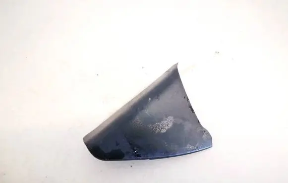 Renault Laguna III Other interior part 802920001r
