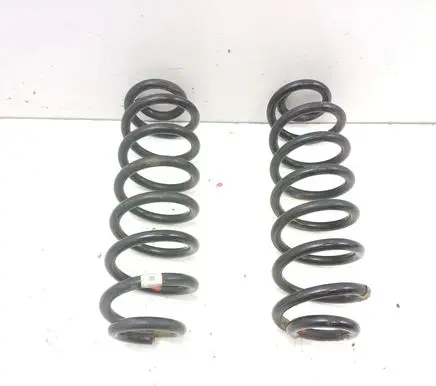 Rear coil spring