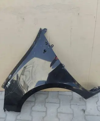 Renault Clio III Fender BLOTNIKLEWYCLIOIII