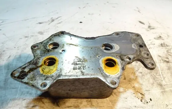 Audi A6 S6 C6 4F Engine oil radiator 059117021J