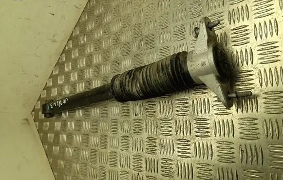 Tesla Model Y Rear shock absorber/damper 218846800C