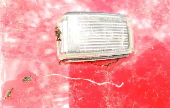 Volvo C70 Front fender indicator light