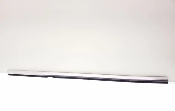 Rear door glass trim molding