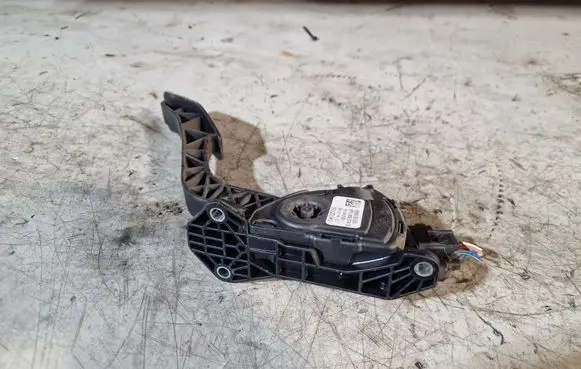 Suzuki Grand Vitara II Accelerator throttle pedal 6PV009074