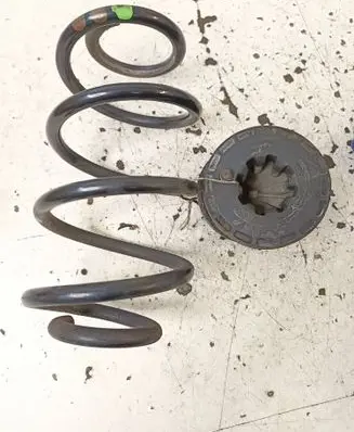 Rear coil spring