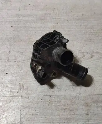 Thermostat/thermostat housing